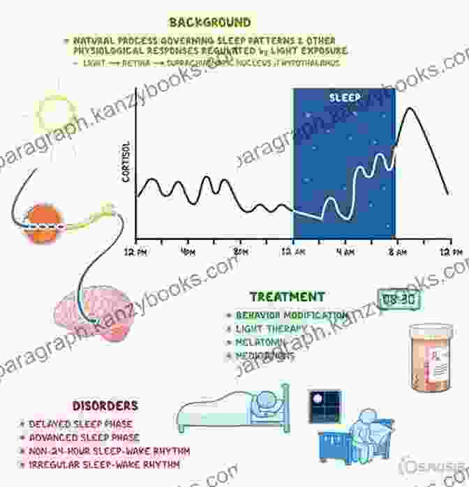 A Graphic Representation Of The Body's Circadian Rhythm, Showing The Fluctuations In Hormone Levels And Body Temperature Throughout The Day. The Perfect Day Plan: Unlock The Secrets Of Your Body Clock