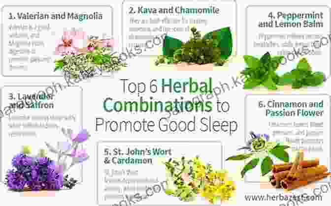 A Variety Of Herbs And Plants Used For Sleep Remedies, Such As Valerian Root, Lavender, And Chamomile The Natural Sleeper: A Bedside Guide To Complementary And Alternative Solutions For Better Sleep