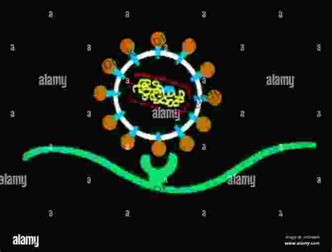 An Illustration Of The HIV Virus, The Causative Agent Of AIDS To End AIDS Jon Cohen