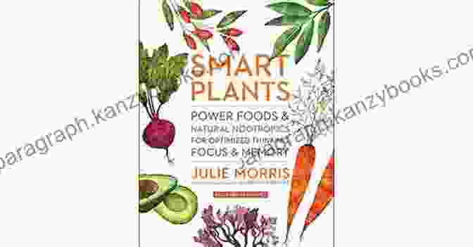 Power Foods Natural Nootropics Book Cover Smart Plants: Power Foods Natural Nootropics For Optimized Thinking Focus Memory