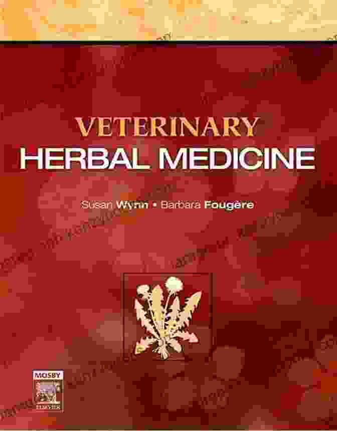 Veterinary Herbal Medicine Book Cover With Vibrant Herbs And A Soothing Animal Companion Veterinary Herbal Medicine Jon Kabat Zinn