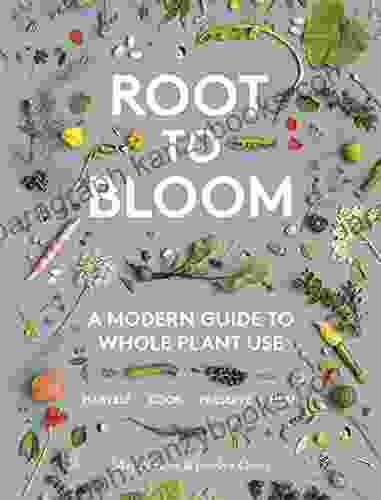 Root To Bloom Moosewood Collective