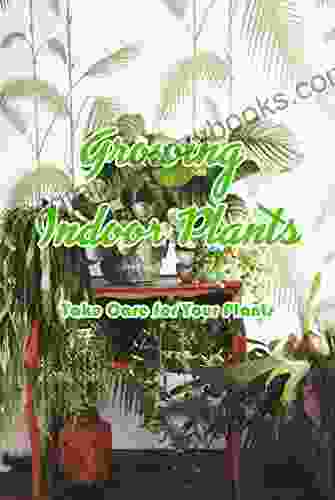 Growing Indoor Plants: Take Care For Your Plants