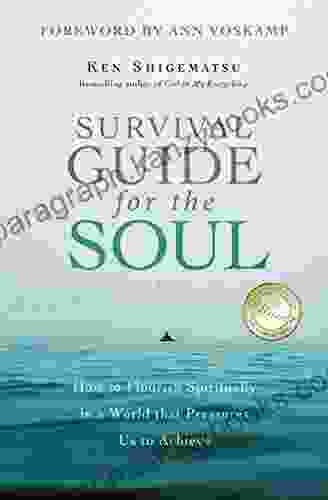 Survival Guide For The Soul: How To Flourish Spiritually In A World That Pressures Us To Achieve