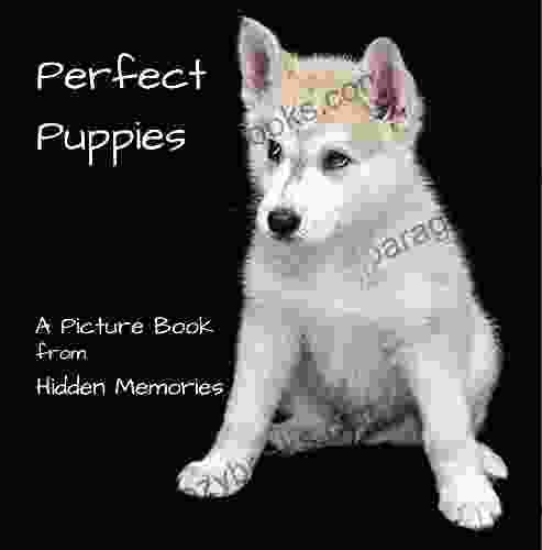 Perfect Puppies: A No Text Picture Book: A Calming Gift For Alzheimer Patients And Seniors Living With Dementia (Hidden Memories)